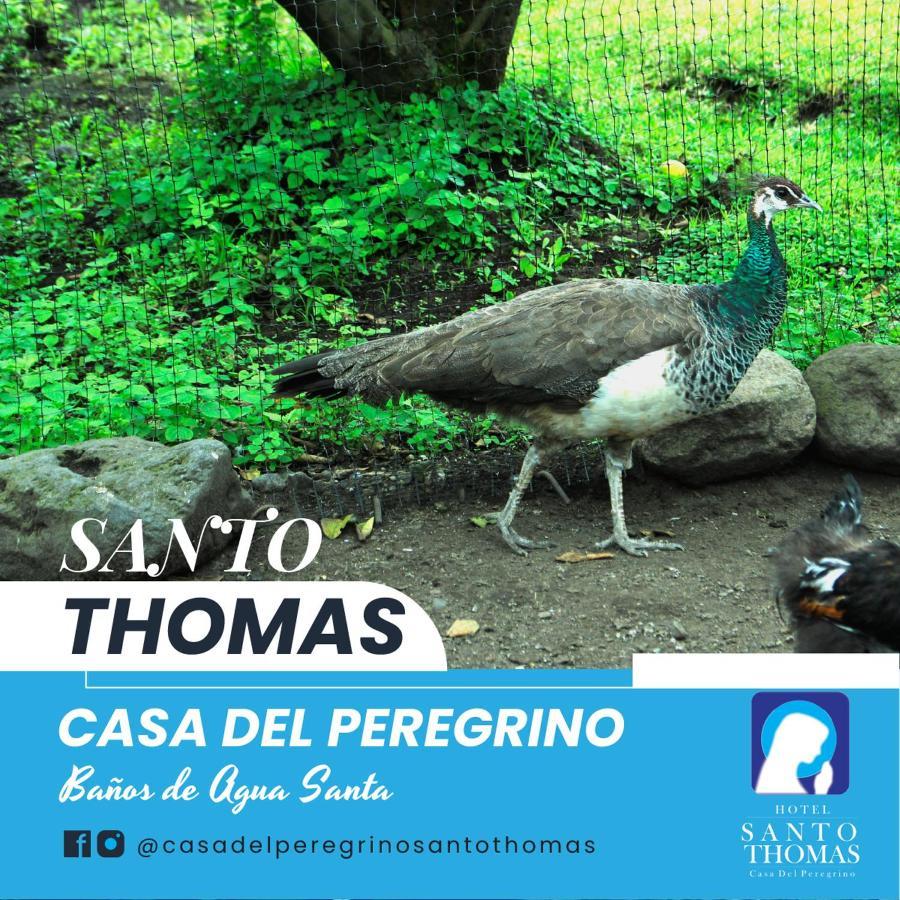 Готель Casa Del Peregrino Santo Thomas Баньйос Екстер'єр фото